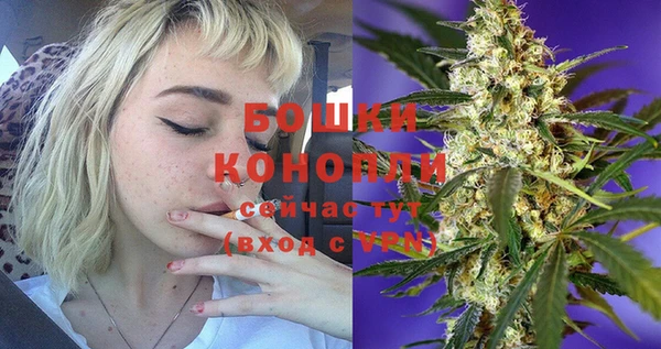 гидра Лихославль