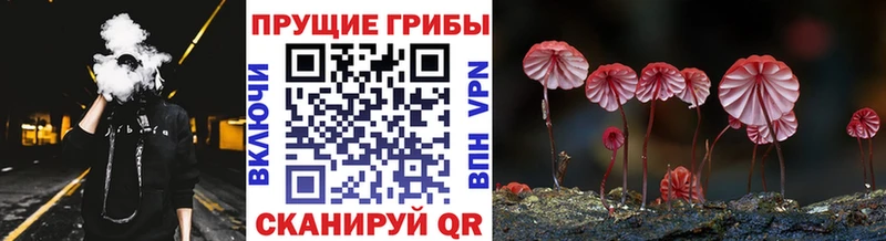 Галлюциногенные грибы Magic Shrooms  Малгобек 
