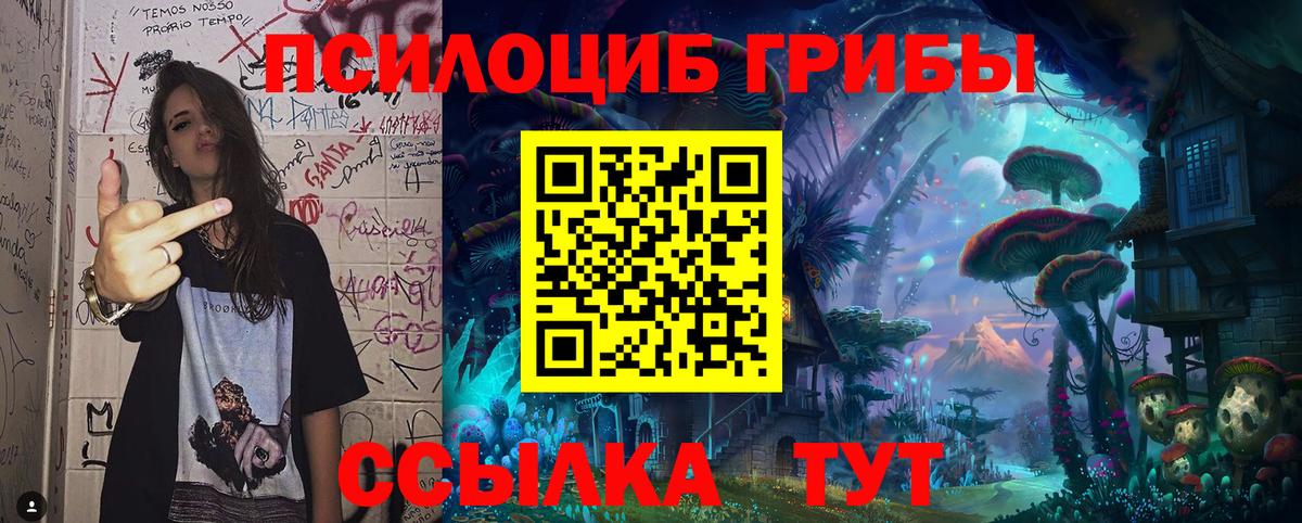 Малгобек  Галлюциногенные грибы мицелий  Вход с VPN  Галлюциногенные грибы Cubensis 