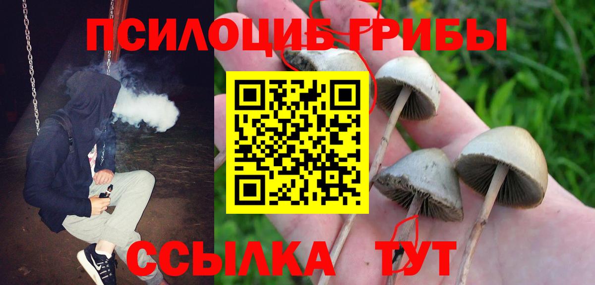 Псилоцибиновые грибы GOLDEN TEACHER Малгобек